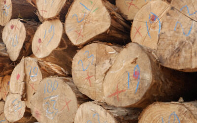 Wood vs Rattan Furniture, Which is the Best?