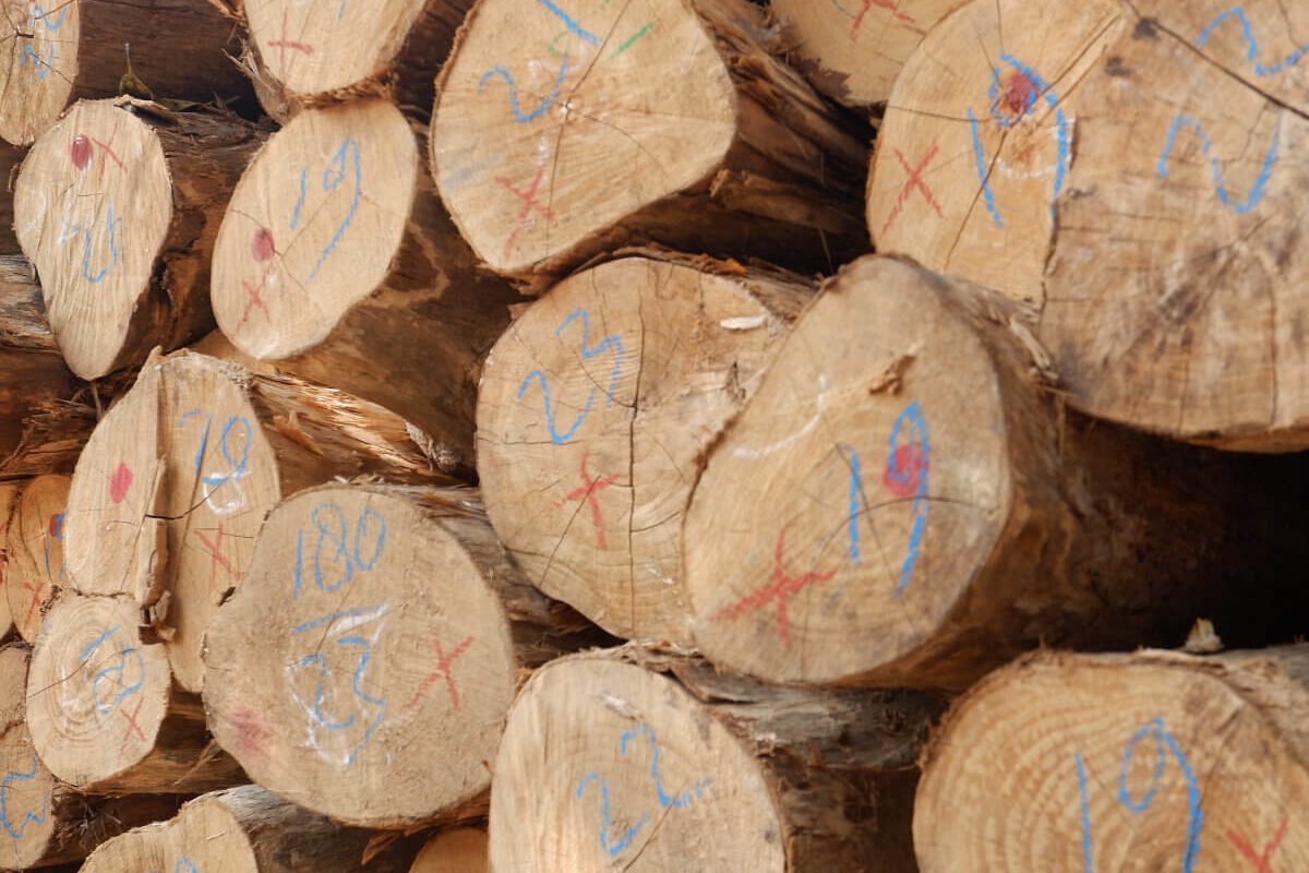 Wood vs Rattan Furniture, Which is the Best?