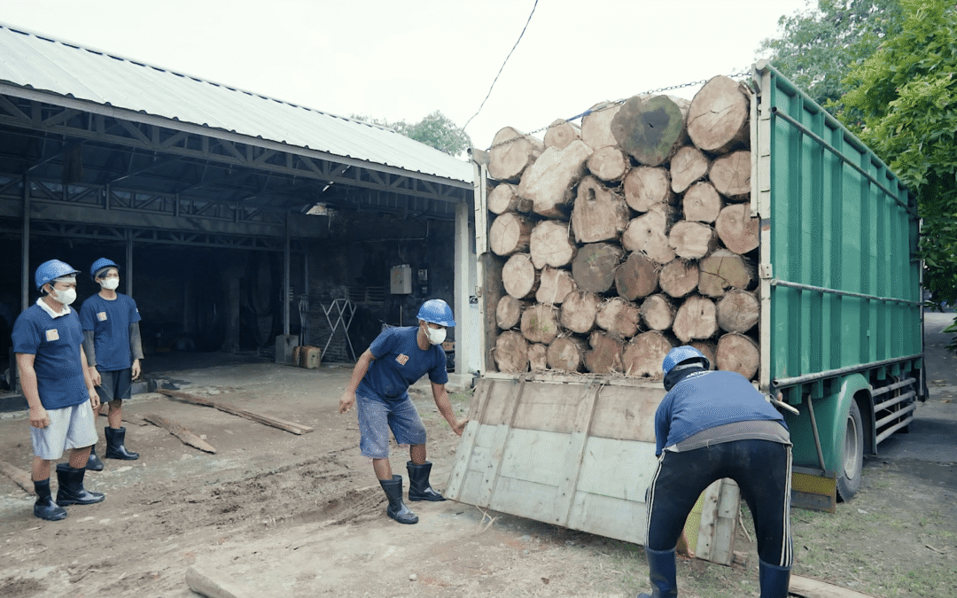 sungkai wood from a indonesian furniture manufacturer
