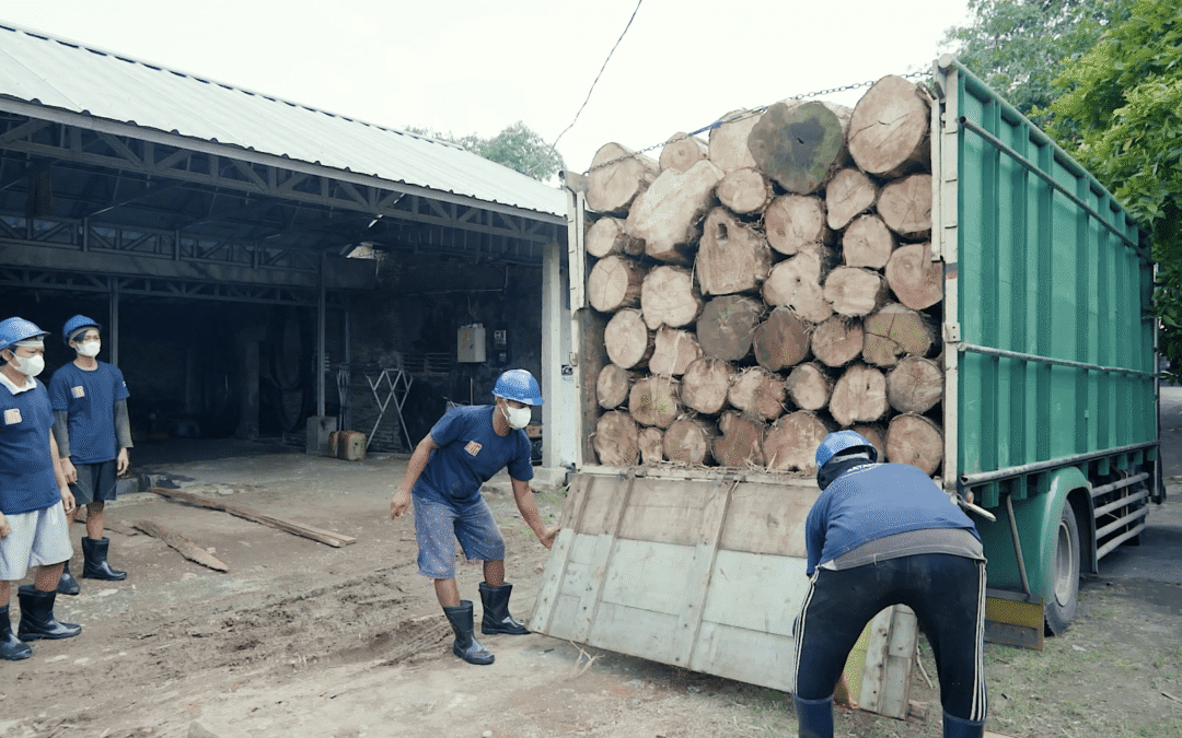 Furniture Buyers: Don’t Buy Sungkai Wood Before Reading This