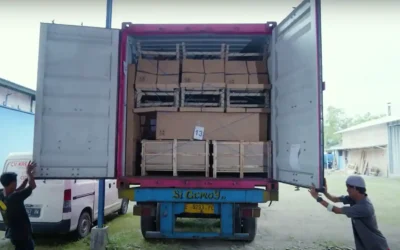 4 Best Indonesian Woods for Furniture: Why Teak Isn’t Always Better