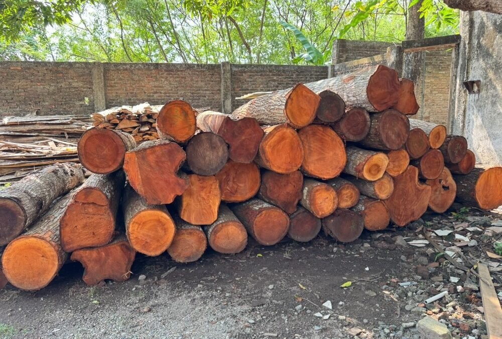 Mahogany Furniture from Raw Mahogany Wood by Indonesian furniture supplier, MPP Furniture