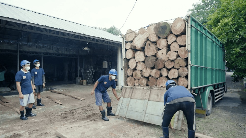 advantages of sungkai wood sungkai log processed by MPP Furniture