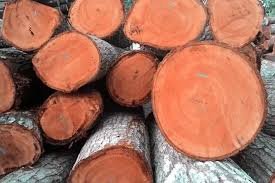 is mahogany wood good quality mahogany logs