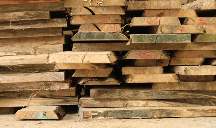 benefits indonesian sungkai furniture sungkai wood used mpp furniture