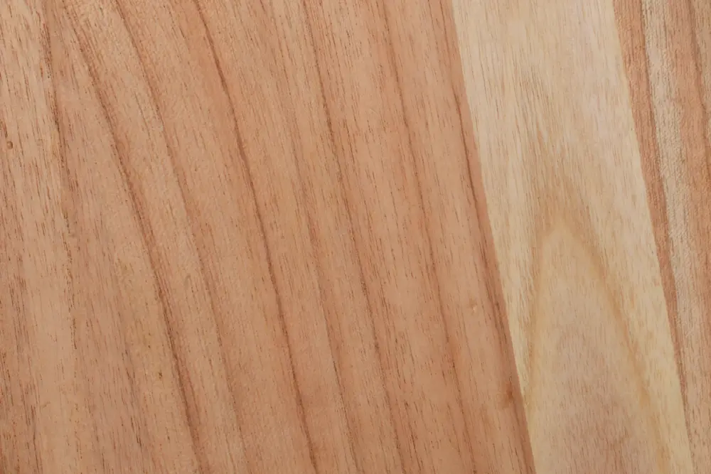 Close-up end grain view of a thick oak board showing severe cupping and warping due to high wood movement risk and tangential shrinkage.