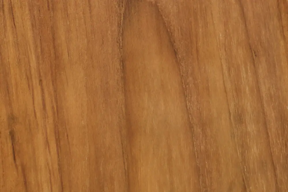 Close-up end grain view of a thick oak board showing severe cupping and warping due to high wood movement risk and tangential shrinkage.