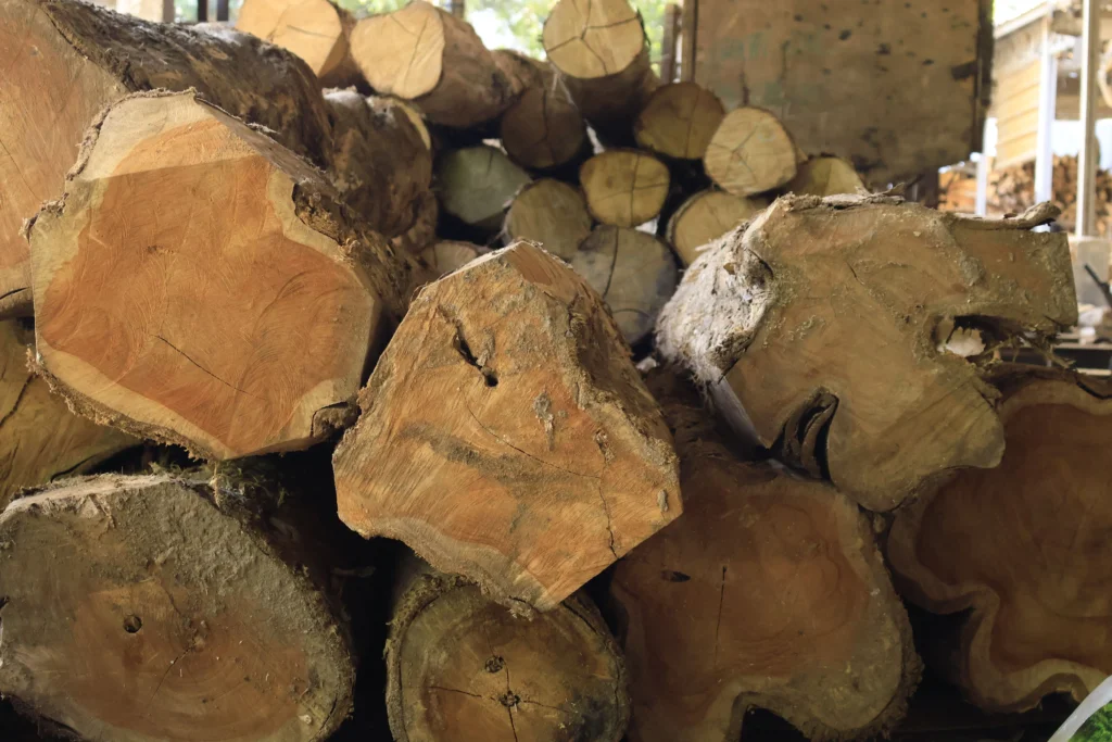 Raw Indonesian hardwood logs stacked at a manufacturing facility, highlighting the foundation of how material affect furniture lifespan in commercial settings.