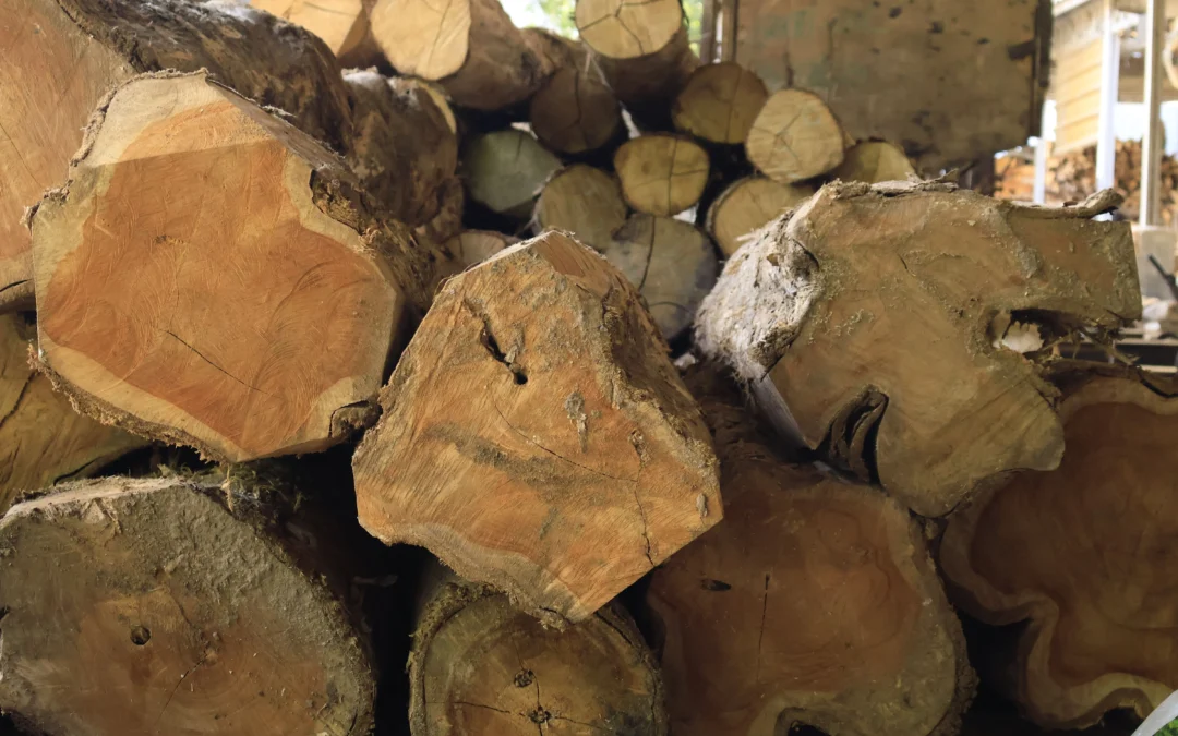 How Indonesian Woods Affect Furniture’s Lifespan in Commercial Use