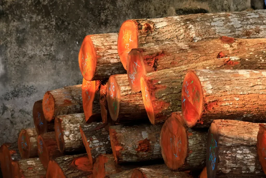 Stack of mahogany wood in the furniture manufacture area