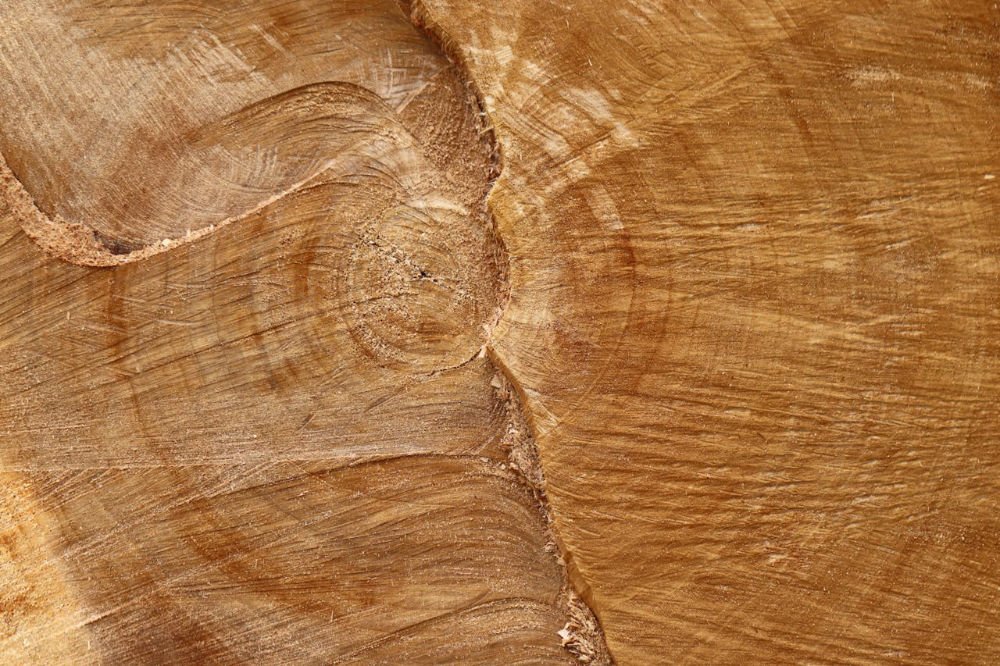 wood teak material texture closeup