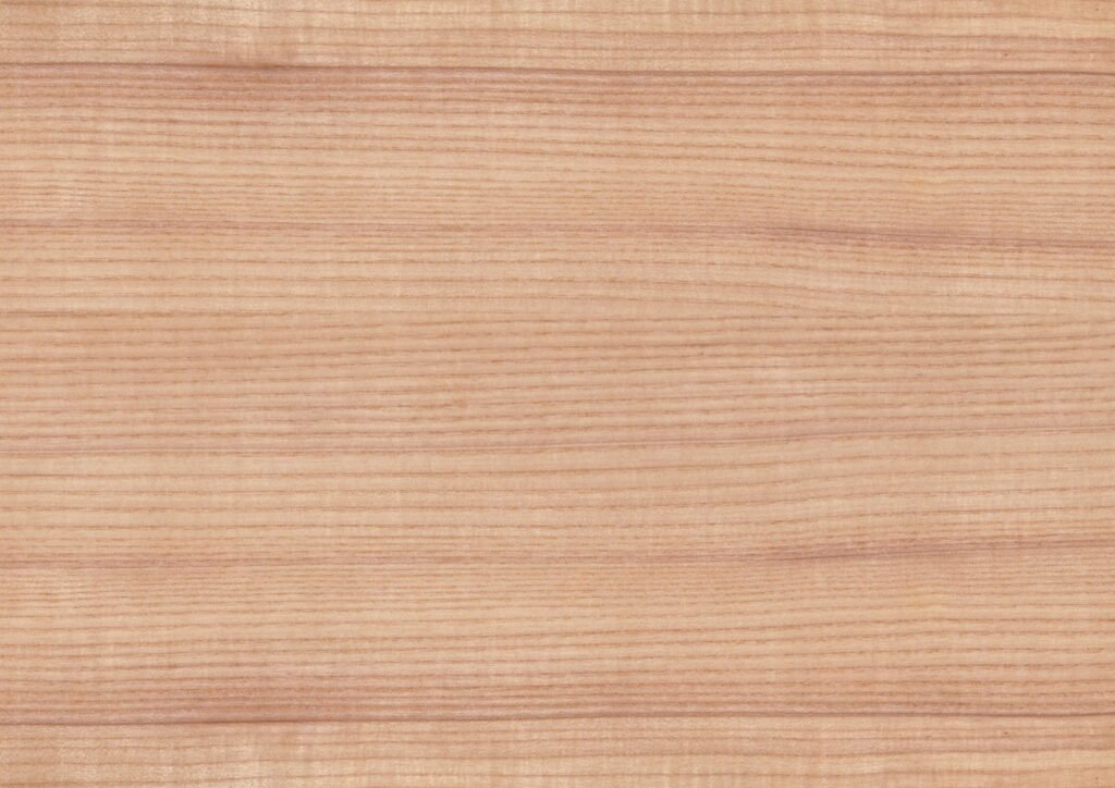 Close-up of sungkai wood grain showing light tone and natural texture for furniture production